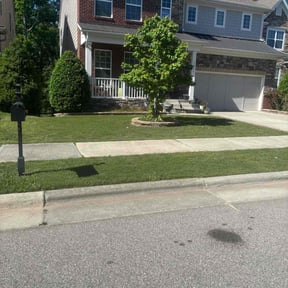 yard care by Gold Quality Lawn Care Service reviewed on February 15, 2025