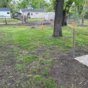 Leaf Removal by Cox's family Lawn maintenance reviewed on September 14, 2026