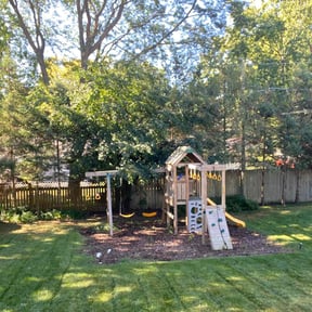 Tree Care by Sparkle More Cleaning Services LLC reviewed on May 20, 2024