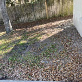 Leaf Removal by ATM reviewed on August 16, 2025