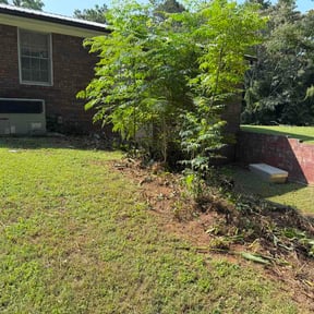 Bush Trimming by Raines lawn service reviewed on July 6, 2026