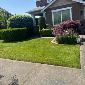 yard service by All about landscape & maintenance reviewed on August 15, 2025