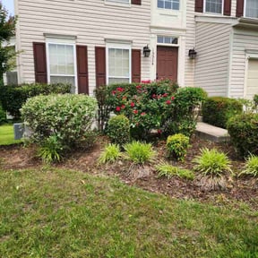 Bush Trimming by Trinity Home Services reviewed on August 18, 2025