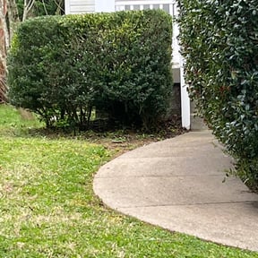 Bush Trimming by Triple S Cuts & Cleanouts reviewed on August 17, 2025