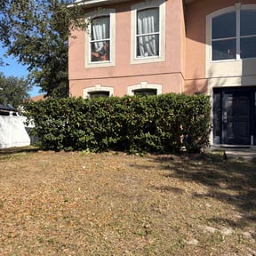 Bush Trimming by My Lawn Help reviewed on December 9, 2025