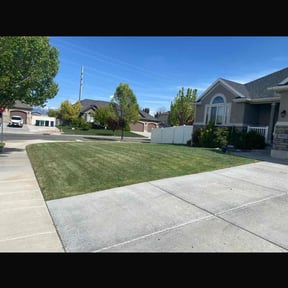 yard service by Tripps lawn reviewed on August 20, 2025