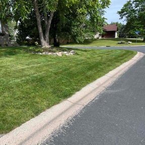 yard maintenance by Héctor Lawn and Tree reviewed on May 14, 2024