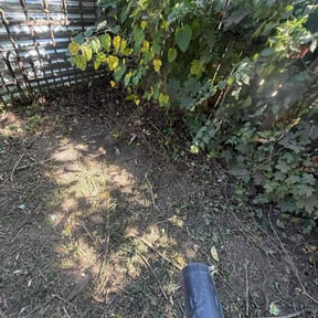 Leaf Removal by Mckinneys Lawn &amp; Tree Care reviewed on September 29, 2025