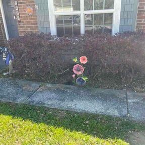 Flower Bed Weeding by Kinge lawn care and more llc. reviewed on March 24, 2026