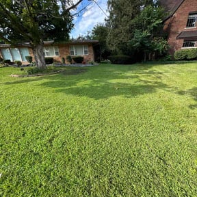 residential landscaping by Taysha Rivera Soler reviewed on August 16, 2025