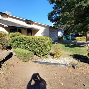 Bush Trimming by Denson's Total Lawn Care reviewed on August 17, 2025