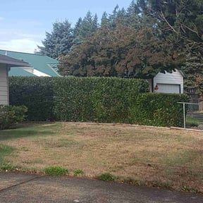 Long Grass Cleanup by Mother Nature Cuts LLC reviewed on May 15, 2024