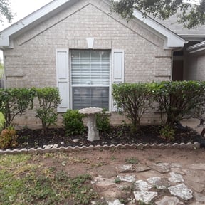 Bush Trimming by Doublerlawncare reviewed on March 19, 2024