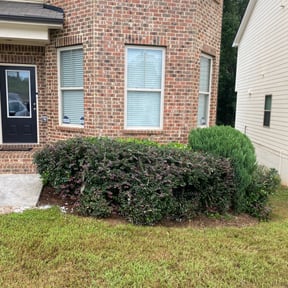Bush Trimming by Crews Lawn Care reviewed on August 21, 2025