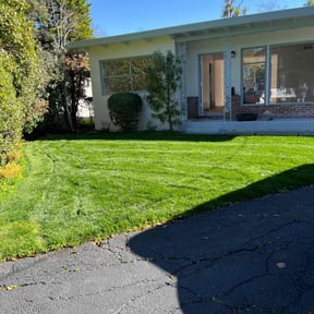 grass cutting by Randy's lawnmower reviewed on August 16, 2025