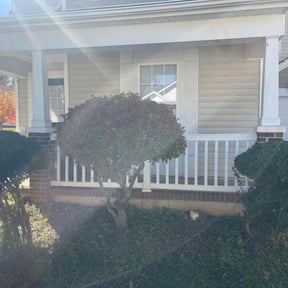 Bush Trimming by Cindy's lawn care reviewed on October 23, 2025