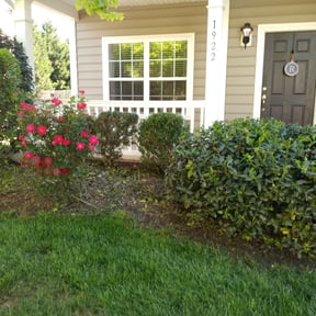 Bush Trimming by Verde Garden LLC. reviewed on August 15, 2025