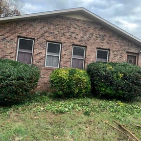 Bush Trimming by Spinelli Scenery Solutions LLC. reviewed on November 19, 2025