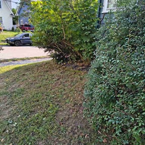 Bush Trimming by Garcia reviewed on September 1, 2026