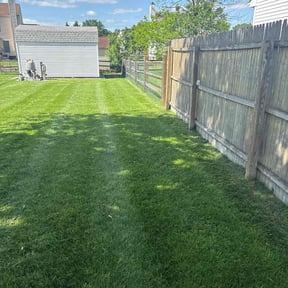 yard care by TwinEagleLandscaping reviewed on August 19, 2025