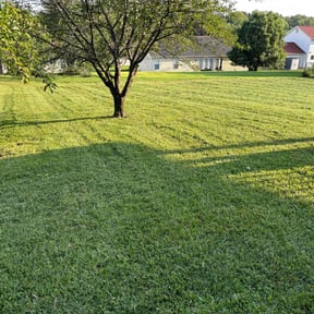 gardening service by White wolf mowing reviewed on August 1, 2025