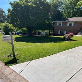 yard care by A New day  Lawncare Services reviewed on November 22, 2025