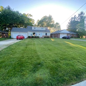 landscaping by B&M Paradise services LLC reviewed on August 19, 2025