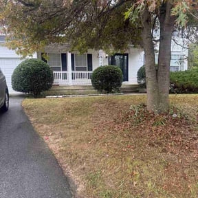 Bush Trimming by Wick Solutions reviewed on November 18, 2025