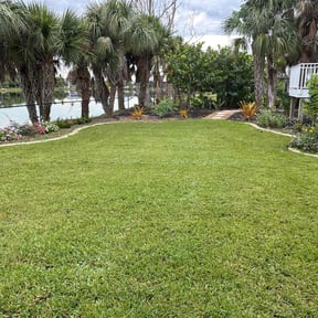 grass cutting by Superfast lawn service reviewed on May 31, 2024