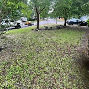 Leaf Removal by Land and Lawn Care reviewed on June 6, 2026