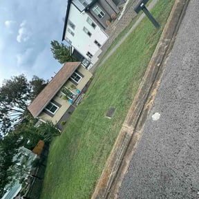 lawn maintenance by Ledezma reviewed on March 28, 2024