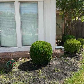 Bush Trimming by Lindseys lawn care LLC reviewed on August 25, 2026