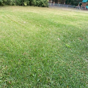 Bush Trimming by No Mow Worries!!! reviewed on August 18, 2025