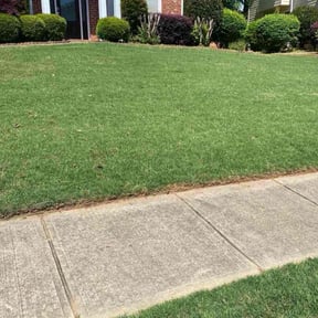 residential landscaping by Juan Rodriguez reviewed on August 16, 2025