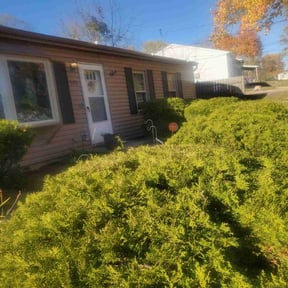 Bush Trimming by Torres Lawn Care reviewed on October 24, 2025