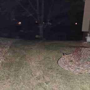 Leaf Removal by A-Z Odd Jobs reviewed on November 20, 2025