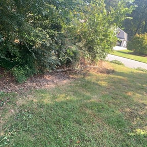 Bush Trimming by Wright Pro Services reviewed on July 13, 2023