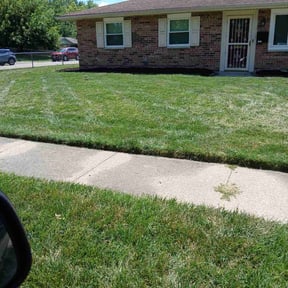 Flower Bed Weeding by Xtra Care Lawn Service reviewed on October 22, 2025