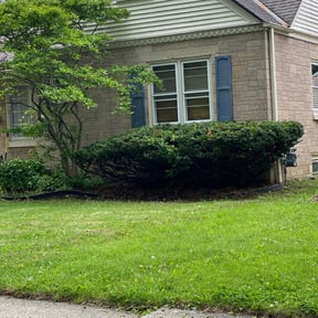 Bush Trimming by ItsBeautyinTheLawnLLC reviewed on August 15, 2025