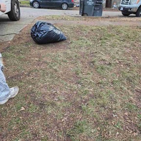Leaf Removal by Soto master reviewed on July 28, 2026