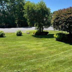 yard work by Sedlak Landscaping reviewed on August 17, 2025