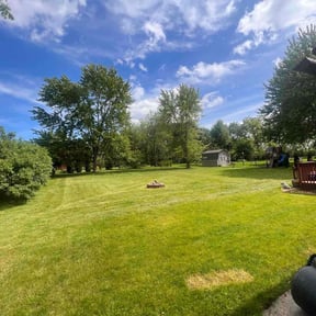 yard care by Spring Motors reviewed on August 17, 2025