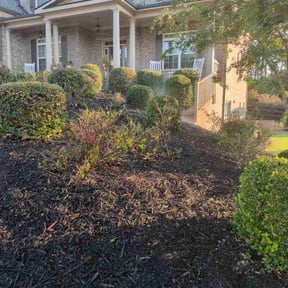 Bush Trimming by Gosia Landscaping reviewed on September 1, 2026