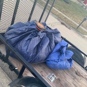 Leaf Removal by Molloy lawn care reviewed on September 9, 2025