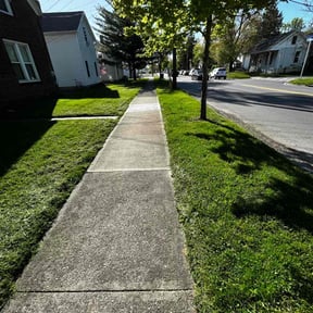 yard care by Smack Down lawns and tractor services reviewed on January 21, 2026