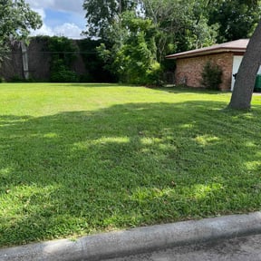 yard service by D.B Lawn Service reviewed on August 18, 2025