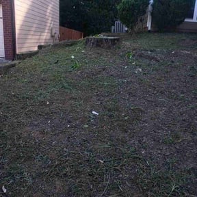 Flower Bed Weeding by B&amp;t lawn servicee reviewed on July 12, 2026