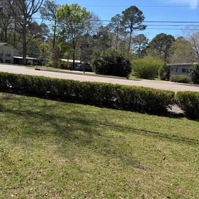 Bush Trimming by FreshStartMHC reviewed on March 15, 2026