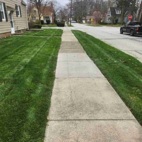 landscaping services by Carlos Tapia reviewed on May 5, 2024