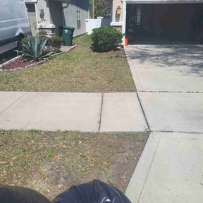 Leaf Removal by Irie Lawns reviewed on September 17, 2025